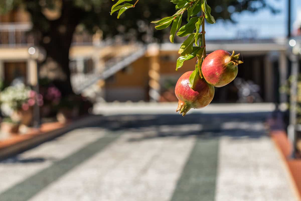 2.casa margherita-54