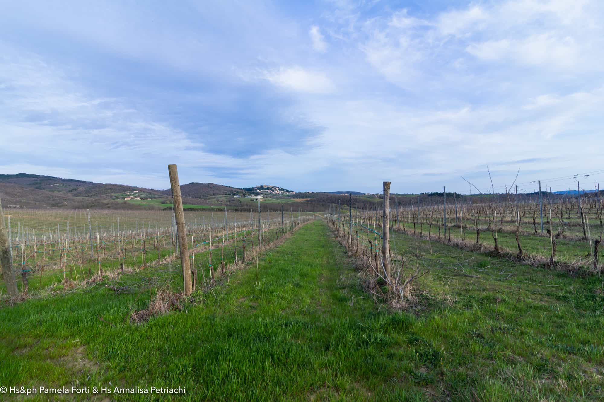 tenuta altamura-76